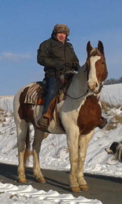 Ausritt auf meines Freundes Pferd Cody